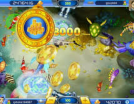 ope体育2024最新版